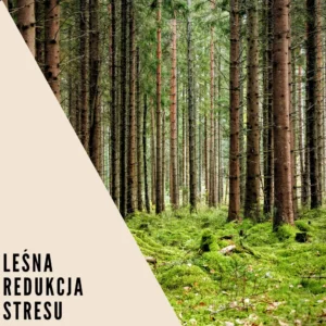 Spacer - Leśna Redukcja Stresu